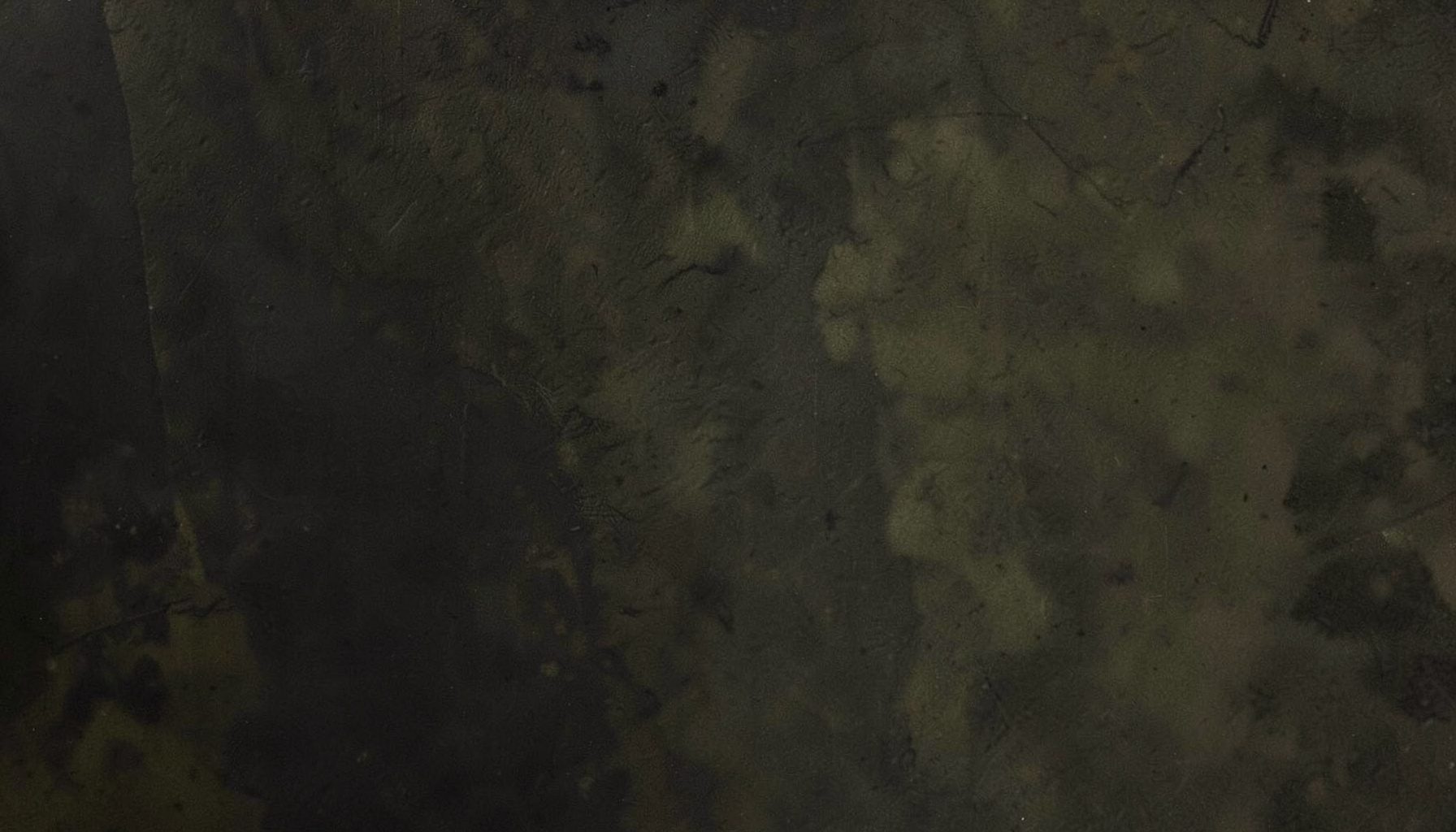 Dark olive and charcoal textured abstract